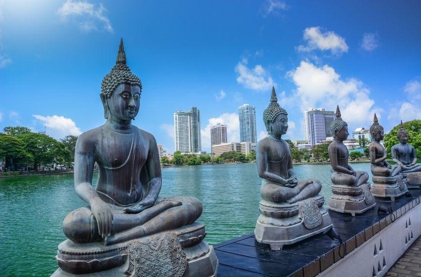 Sri Lanka wants to increase the supply of food and industrial products from Ukraine