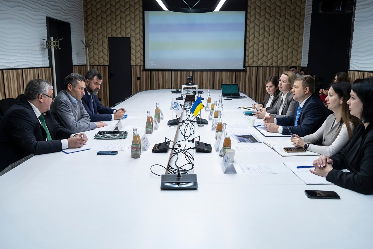 The next FAO project in Ukraine will focus on electricity generation from agrobiomass